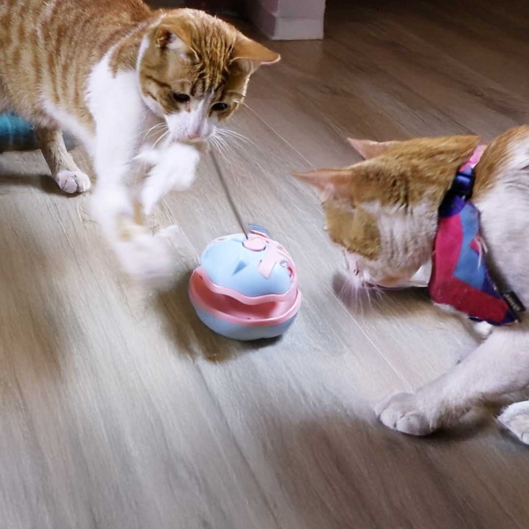 Innovador juguete bola interactiva 360° - Imagen 2