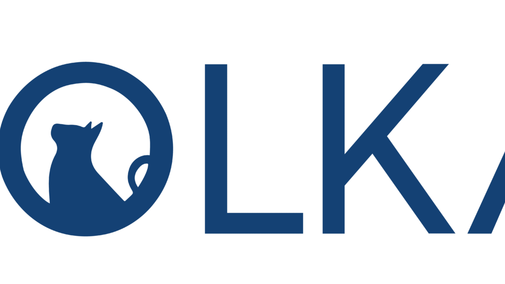 Koolkat logo marca registrada azul