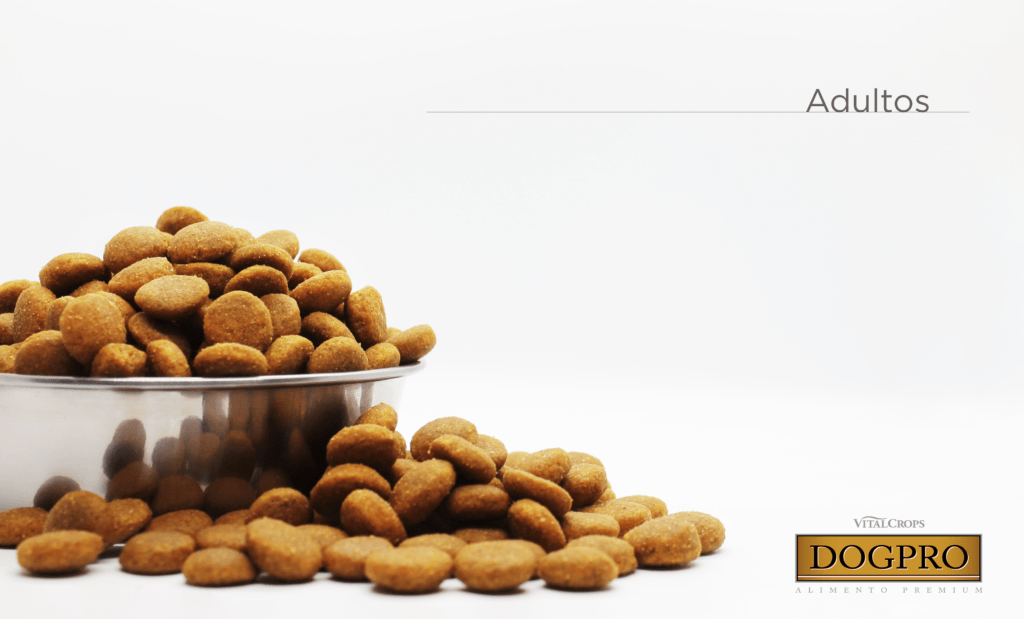Alimento para perros adultos