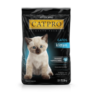 alimento para gatitos