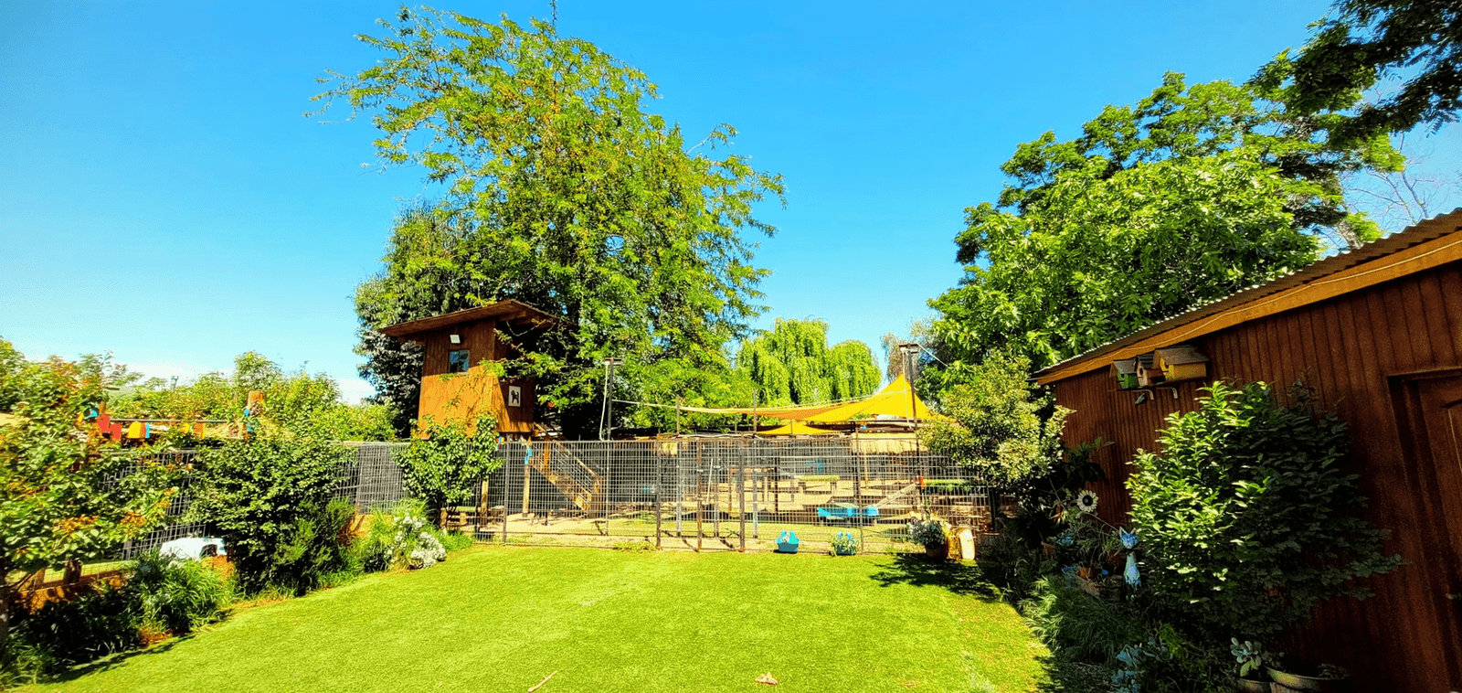 Hotel canino mantra scaled