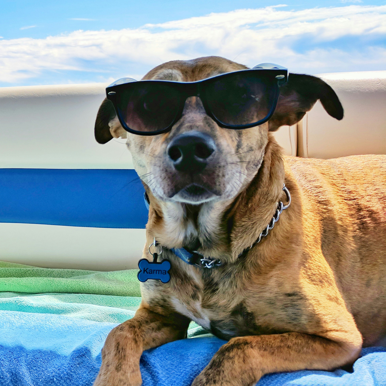 josh rakower zBsXaPEBSeI 1x1 1