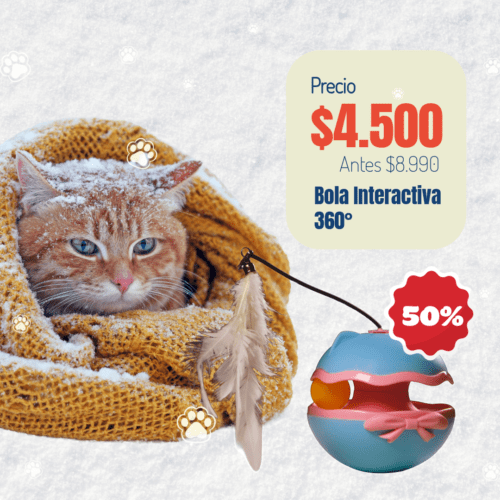Invierno-12