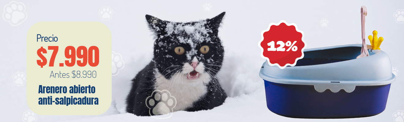 Invierno-8